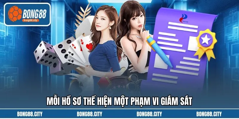 Mỗi hồ sơ thể hiện một phạm vi giám sát Mỗi hồ sơ thể hiện một phạm vi giám sát